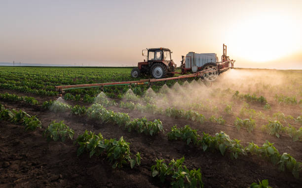 Reliable Chelsea, AL Pest Control Solutions