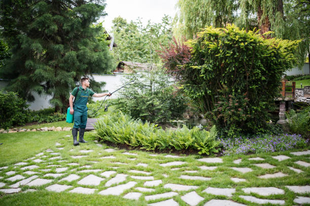 Best Mosquito Control Services  in Chelsea, AL