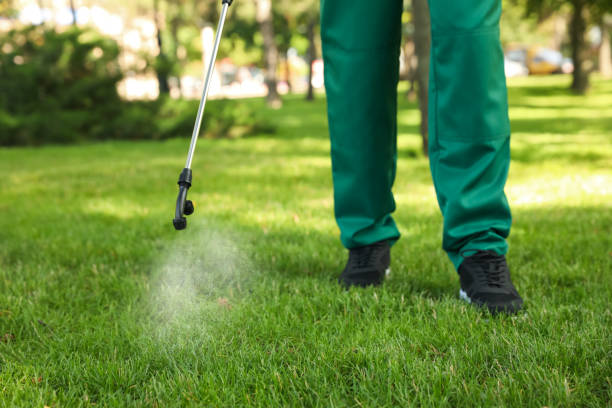 Best Flea Control Services  in Chelsea, AL