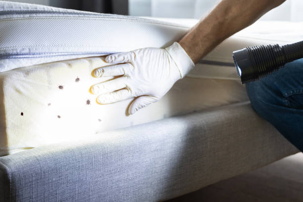 Best Pest Prevention Services  in Chelsea, AL