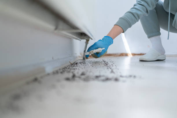 Best Commercial Pest Control Services  in Chelsea, AL